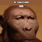serious monkey | "NEXT PERSON TO LAUGH GOES TO THE OFFICE"; ME: "LOOKS AT HOMIE; HIM: | image tagged in serious monkey,teacher meme,school meme | made w/ Imgflip meme maker