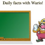 Wario tells you daily facts.