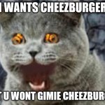 YOUR CAT WANTS "CHEEZ BURGER" | I WANTS CHEEZBURGER; BUT U WONT GIMIE CHEEZBURGER | image tagged in lolcat | made w/ Imgflip meme maker