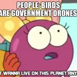 Lol | PEOPLE: BIRDS ARE GOVERNMENT DRONES; ME | image tagged in i don't wanna live on this planet anymore | made w/ Imgflip meme maker