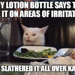 Salad cat | MY LOTION BOTTLE SAYS TO USE IT ON AREAS OF IRRITATION; SO I SLATHERED IT ALL OVER KAREN | image tagged in salad cat,meme,memes,funny | made w/ Imgflip meme maker