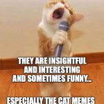 My Memes are Great | MY MEMES ARE NOT STUPID! THEY ARE INSIGHTFUL AND INTERESTING AND SOMETIMES FUNNY... ESPECIALLY THE CAT MEMES; Bruce C Linder | image tagged in cats,singing cat,cat with a microphone,meow mix,cat karaoke,a cat singing the blues | made w/ Imgflip meme maker