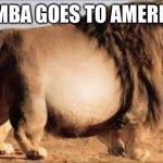 I saw this on an ad | SIMBA GOES TO AMERICA | image tagged in fat lion | made w/ Imgflip meme maker