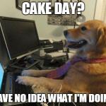 i have no idea | CAKE DAY? I HAVE NO IDEA WHAT I'M DOING. | image tagged in i have no idea | made w/ Imgflip meme maker