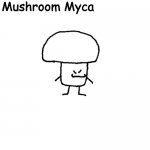 Mushroom Myca