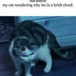 i feel like this will get to the frontpage but probably no. | me:meow
my cat wondering why im in a brick cloud: | image tagged in cat loading template | made w/ Imgflip meme maker