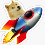 doge to the moon bitches template