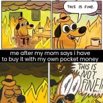 funi | me after my mom asked for me to go to the grocery story; me after my mom says i have to buy it with my own pocket money | image tagged in this is fine | made w/ Imgflip meme maker