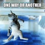 Cool Cat Stroll Back | I'VE WALKED ONE WAY ALL MY LIFE , SO AM WALKING ANOTHER WAY; ONE WAY OR ANOTHER; AND IM DOING IT NOW AT A GLOW PARTIE | image tagged in cool cat stroll back | made w/ Imgflip meme maker