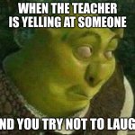this happend to me today.. but i couldn't hold the laugh in! i just let it out.. you dont wanna know what happend to me after th | WHEN THE TEACHER IS YELLING AT SOMEONE; AND YOU TRY NOT TO LAUGH | image tagged in oops shrek | made w/ Imgflip meme maker