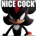 NiCe CoCk sHaDoWwW