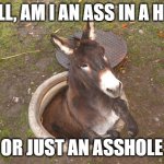 back to my hole horse | WELL, AM I AN ASS IN A HOLE; OR JUST AN ASSHOLE | image tagged in back to my hole horse | made w/ Imgflip meme maker