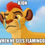It is already proven | KION; WHEN HE SEES FLAMINGOS | image tagged in crying kion crybaby,the lion guard,lion guard,us-president-joe-biden,funny | made w/ Imgflip meme maker