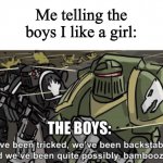 We’ve been tricked, we’ve been backstabbed, and we’ve been quite | Me telling the boys I like a girl:; THE BOYS: | image tagged in we ve been tricked we ve been backstabbed and we ve been quite | made w/ Imgflip meme maker
