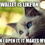 OnlioNs | MY WALLET IS LIKE AN; WHEN I OPEN IT, IT MAKES MY CRY | image tagged in memes,first world problems cat | made w/ Imgflip meme maker