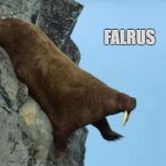 FaLrus | FALRUS | image tagged in falling walrus | made w/ Imgflip meme maker
