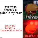 stinkbugs smell like ass | me when there's a spider in my room; ME WHEN THERE'S A STINKBUG IN MY ROOM | image tagged in i sleep real shit bulborb,stinkbugs,spiders,bugs,pikmin,funny | made w/ Imgflip meme maker