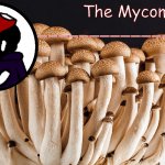 The Mycomancer's Mushroom Template template