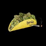 Taco High