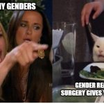 One, two | THERE ARE MANY GENDERS; GENDER REASSIGNMENT SURGERY GIVES YOU TWO OPTIONS | image tagged in karen and smudge,two genders,gender reassignment surgery,well darn,but we want more,trust the science | made w/ Imgflip meme maker