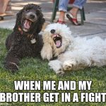 Two Bruh Dogs | WHEN ME AND MY BROTHER GET IN A FIGHT | image tagged in two bruh dogs | made w/ Imgflip meme maker