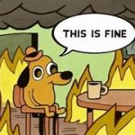 Famous meme image. An anthropomorphic cartoon dog sits in the middle of a room on fire and says &quot;this is fine.&quot;