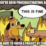 The Not-Panic | WHEN YOU'VE BEEN PROCRASTINATING ALL WEEK; AND NOW HAVE TO FINISH A PROJECT BY TOMORROW | image tagged in this is fine,panic | made w/ Imgflip meme maker