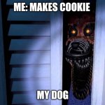 Foxy FNaF 4 | ME: MAKES COOKIE; MY DOG | image tagged in foxy fnaf 4 | made w/ Imgflip meme maker