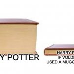 harry potter | HARRY POTTER; HARRY POTTER IF VOLDEMORT USED A MUGGLE WEAPON | image tagged in big book small book | made w/ Imgflip meme maker