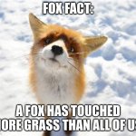 Fox Fact #1 | FOX FACT:; A FOX HAS TOUCHED MORE GRASS THAN ALL OF US. | image tagged in 1 | made w/ Imgflip meme maker