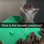 What the hamster doing
