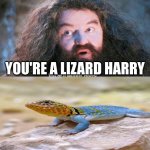 You're a wizard Harry | YOU'RE A LIZARD HARRY | image tagged in you're a wizard harry | made w/ Imgflip meme maker