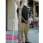 can we get this extremely random meme to 1000 upvotes? | image tagged in shaq behind tree,funny,upvotes,memes,community,shaq | made w/ Imgflip meme maker