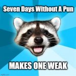 Lame Pun Coon | Seven Days Without A Pun; MAKES ONE WEAK | image tagged in memes,lame pun coon,seven days | made w/ Imgflip meme maker