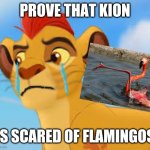 More proof is in the comments | PROVE THAT KION; IS SCARED OF FLAMINGOS | image tagged in crying kion crybaby,us-president-joe-biden,lion guard,the lion guard | made w/ Imgflip meme maker