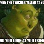 oops shrek | WHEN THE TEACHER YELLED AT YOU; AND YOU LOOK AT YOU FRIEND | image tagged in oops shrek | made w/ Imgflip meme maker