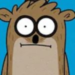 front facing rigby meme