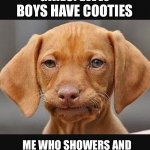 Straight face dog | GIRLS: EWW BOYS HAVE COOTIES; ME WHO SHOWERS AND WASHES MY HANDS EVERY DAY | image tagged in straight face dog,so true memes | made w/ Imgflip meme maker
