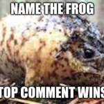 What The Frog Doin? | NAME THE FROG; TOP COMMENT WINS | image tagged in inflated frog,memes,cute | made w/ Imgflip meme maker