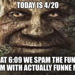 Wise Mystical Tree Face Old Mythical Oak Tree Funny Meme