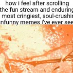 L website | how i feel after scrolling the fun stream and enduring the most cringiest, soul-crushingly unfunny memes i've ever seen | image tagged in skeleton exploding | made w/ Imgflip meme maker