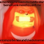 Talking on the phone is no different when you're checkin in on someone u love ok and I've had all the attitude I'mma take from u | image tagged in blurry knuckles,memes,knuckles the echidna,savage memes,enough is enough,relatable | made w/ Imgflip meme maker