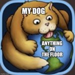 My dog eating anything on the floor | MY DOG; ANYTHING ON THE FLOOR | image tagged in cat eating earth,funny memes,dogs,floor,memes | made w/ Imgflip meme maker