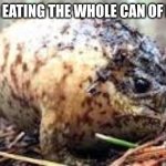 Monch | ME AFTER EATING THE WHOLE CAN OF PRINGLES | image tagged in inflated frog | made w/ Imgflip meme maker