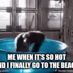 so refreshing | ME WHEN IT'S SO HOT AND I FINALLY GO TO THE BEACH | image tagged in gifs,god | made w/ Imgflip video-to-gif maker