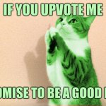 This is an agreement, not begging | IF YOU UPVOTE ME; I’LL PROMISE TO BE A GOOD RAYCAT | image tagged in raycat pray,memes | made w/ Imgflip meme maker
