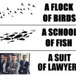 it's a stock photo, I'm not trying to get sued | A SUIT OF LAWYERS | image tagged in a blank of blank | made w/ Imgflip meme maker