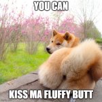 NAFO butthole | YOU CAN; KISS MA FLUFFY BUTT | image tagged in nafo butthole | made w/ Imgflip meme maker