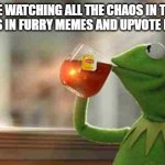 I only sometimes get involved when a big point is made or for the funny | ME WATCHING ALL THE CHAOS IN THE COMMENTS IN FURRY MEMES AND UPVOTE BEG MEMES | image tagged in kermit sipping tea | made w/ Imgflip meme maker