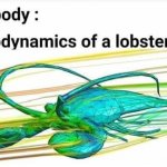 Aerodynamics of a lobster template